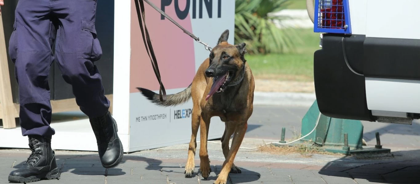 Χίος: Η συσκευασία δώρου δεν έκρυψε την... κάνναβη από τον σκύλο